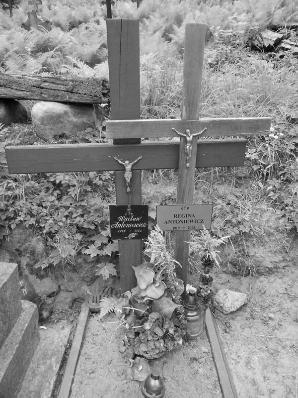 Fragment nagrobka Reginy i Wacława Antoniewiczów, cmentarz na Rossie w Wilnie, stan z 2015