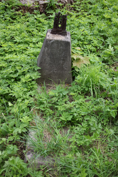 Tombstone of Piotr Szczerbicz, Rossa cemetery in Vilnius, state of 2013