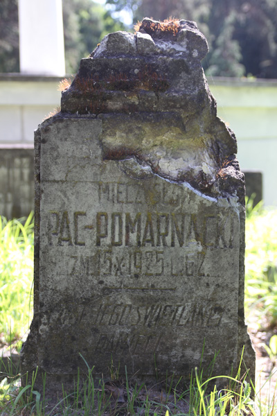 Fragment nagrobka Mieczysława Paca-Pomarskiego, cmentarz na Rossie w Wilnie, stan z 2013