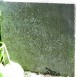 Fotografia przedstawiająca Nagrobek Teofila Rydlewskiego