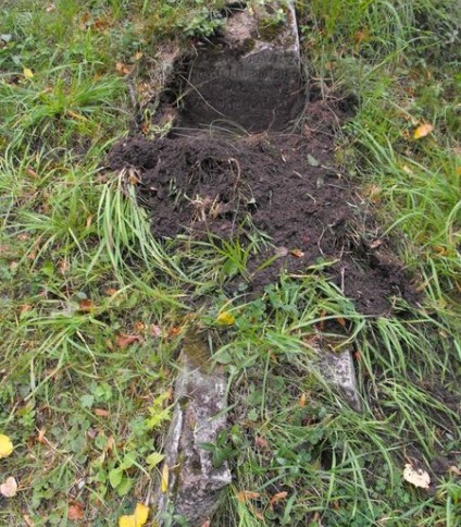 Nagrobek N.N. Jachimowicza, cmentarz Na Rossie w Wilnie, stan z 2013