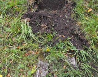 Nagrobek N.N. Jachimowicza, cmentarz Na Rossie w Wilnie, stan z 2013