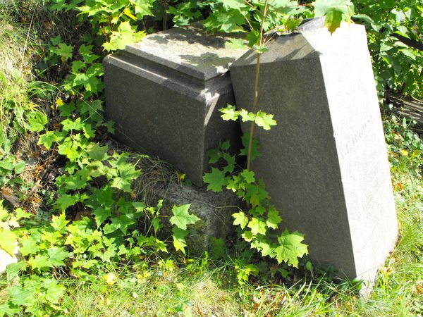 Fragment nagrobka Józefy Ejgird, cmentarz Na Rossie w Wilnie, stan z 2013