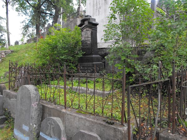 Nagrobek Ludwika Grabowskiego, cmentarz Na Rossie w Wilnie, stan z 2013