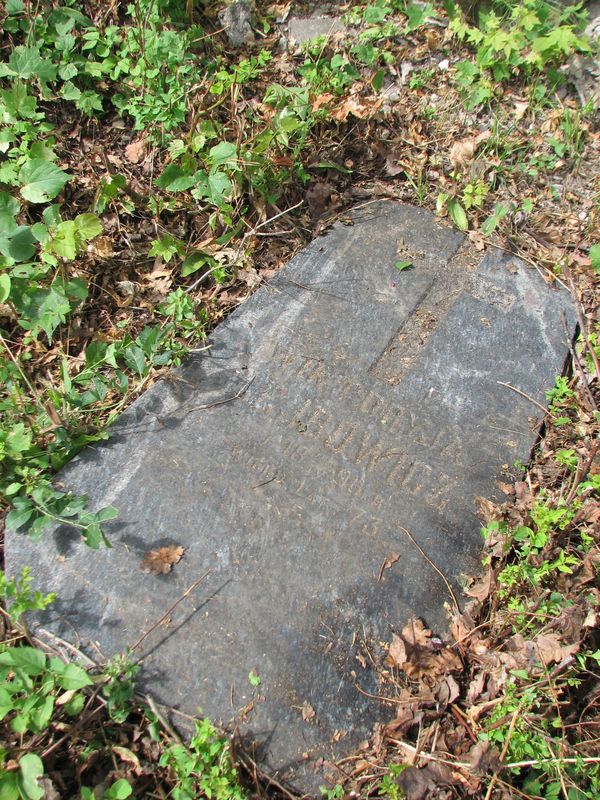 Tombstone of Viktoria Leibovich, Ross cemetery in Vilnius, as of 2013.