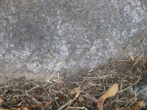 Fragment nagrobka Karoliny Koralek, cmentarz na Rossie, stan z 2013 roku