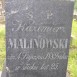 Fotografia przedstawiająca Nagrobek Wandy, Walerego, Mieczysława i Kazimierza Malinowskich