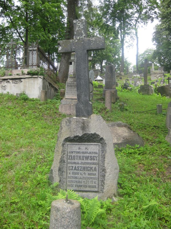 Nagrobek rodziny Złotkowskich, cmentarz na Rossie, stan z 2013 roku