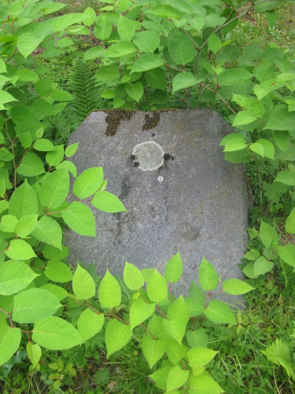 Tombstone of Tytus Nowacki, Ross cemetery, state of 2013