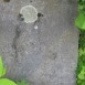 Альтернативний текст фотографії