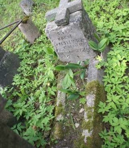 Nagrobek Karola [..]metlewicza, cmentarz Na Rossie w Wilnie, stan z 2013
