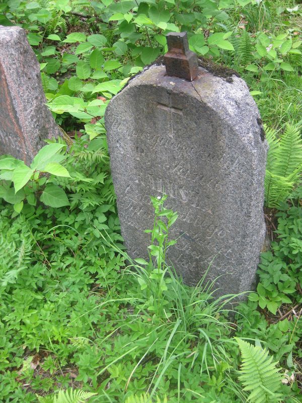 Nagrobek Jana Kalusz-Ostrowskiego, cmentarz na Rossie, stan z 2013 roku