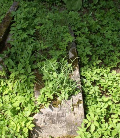 Nagrobek Michała Jazdowskiego, cmentarz Na Rossie w Wilnie, stan z 2013