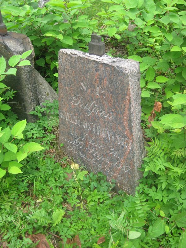 Nagrobek Juliana Kalusz-Ostrowskiego, cmentarz na Rossie, stan z 2013 roku