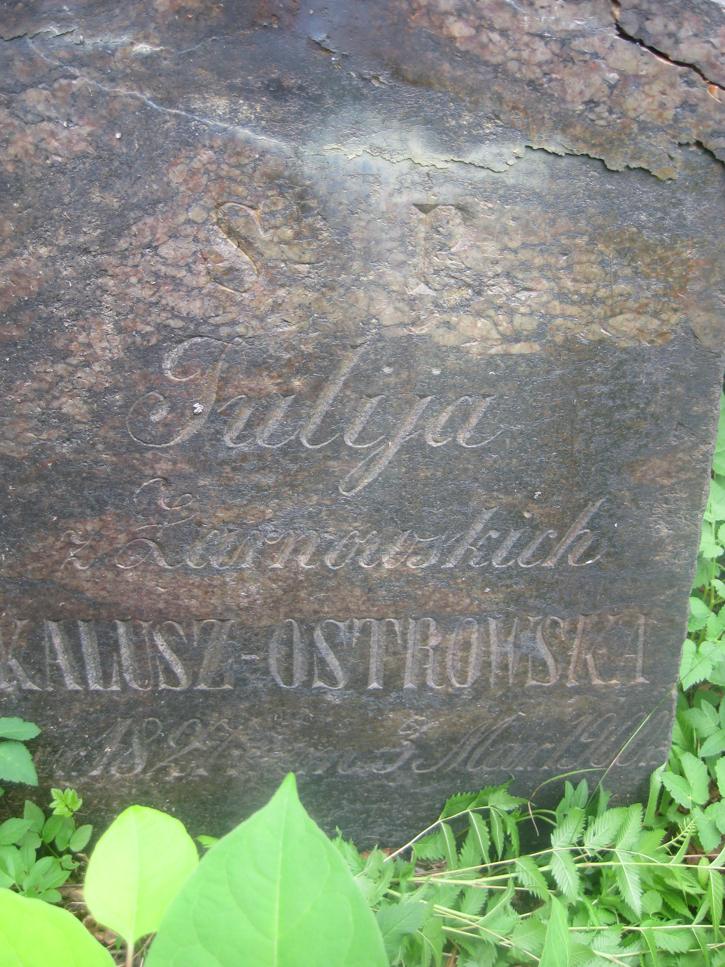 Fragment nagrobka Julii Kalusz-Ostrowskiej, cmentarz na Rossie, stan z 2013 roku