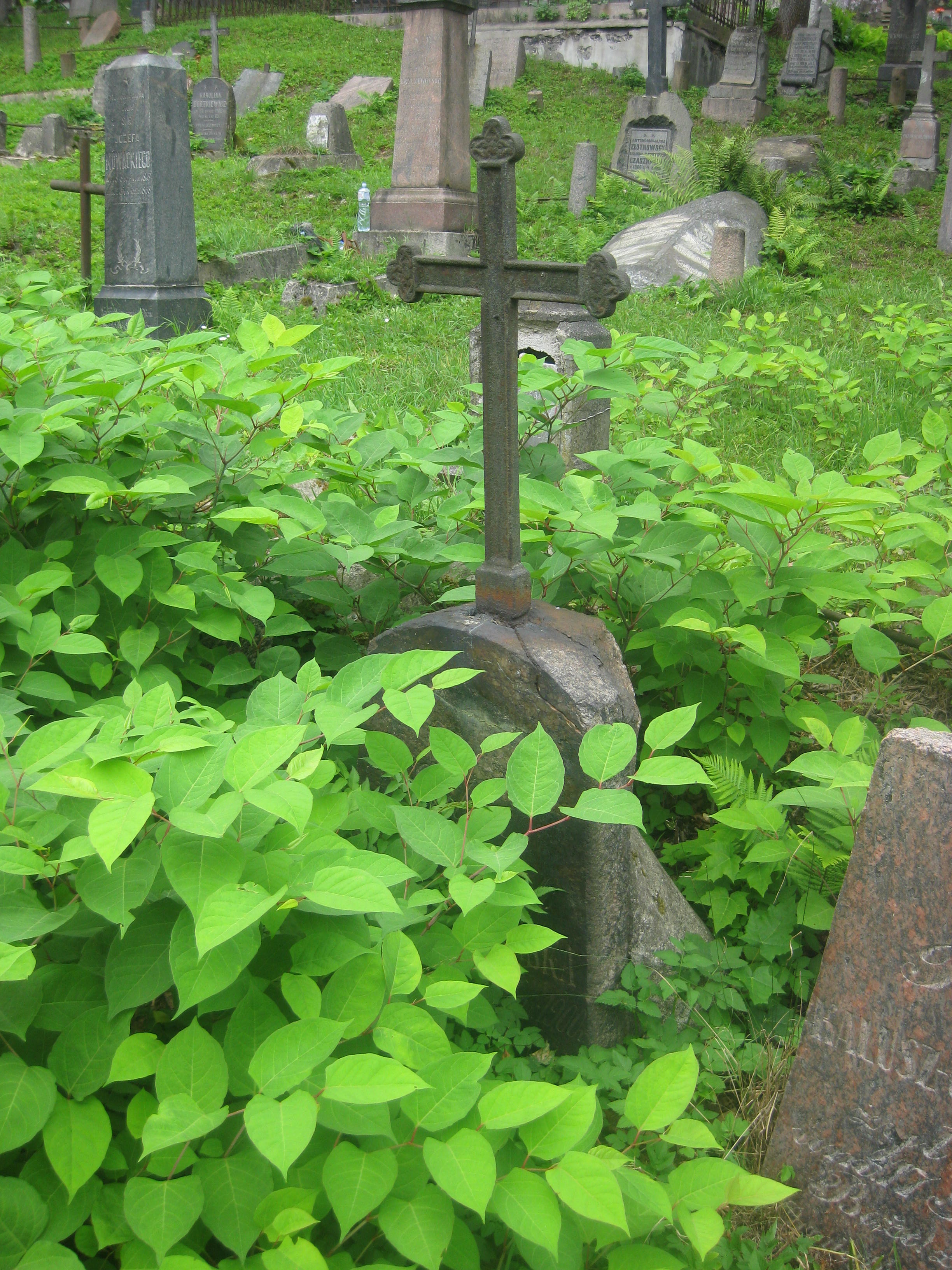 Nagrobek Julii Kalusz-Ostrowskiej, cmentarz na Rossie, stan z 2013 roku