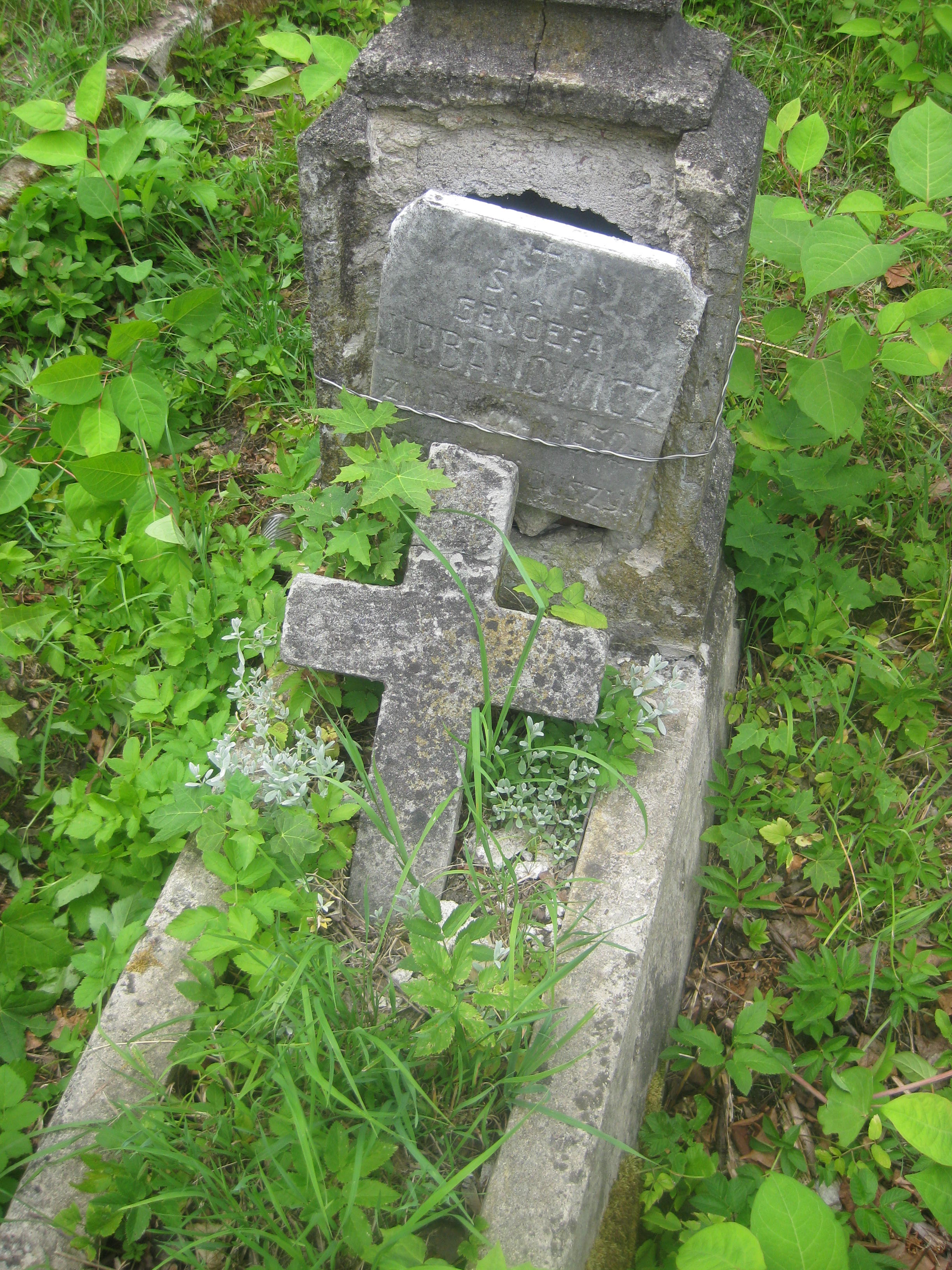 Fragment of Genowefa Urbanowicz's tombstone, Ross cemetery, as of 2013