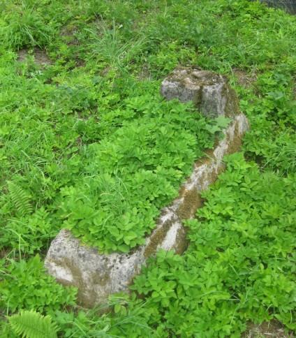 Nagrobek Tadeusza Nowickiego, cmentarz na Rossie, stan z 2013 roku