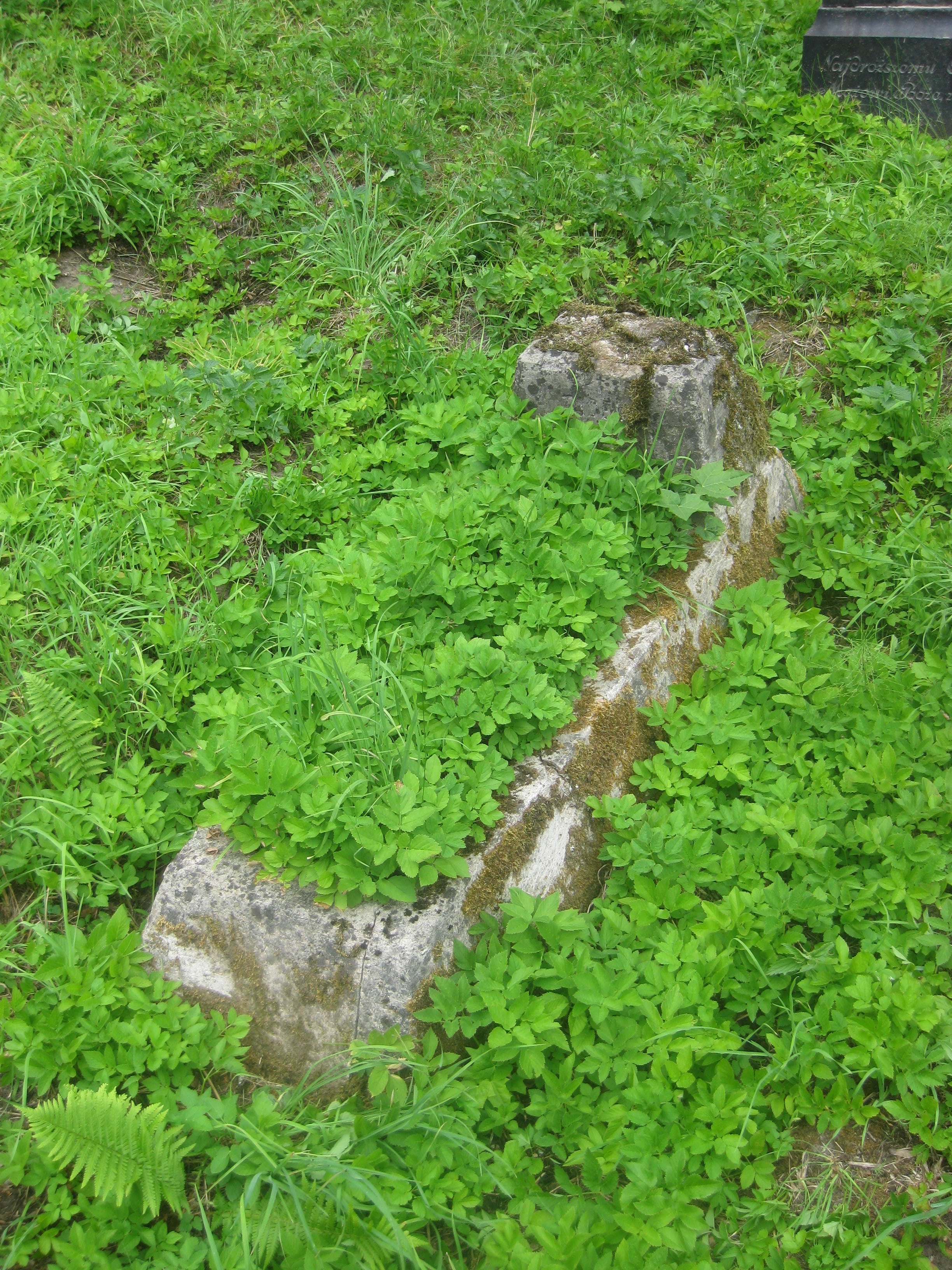 Tombstone of Tadeusz Nowicki, Ross cemetery, state of 2013