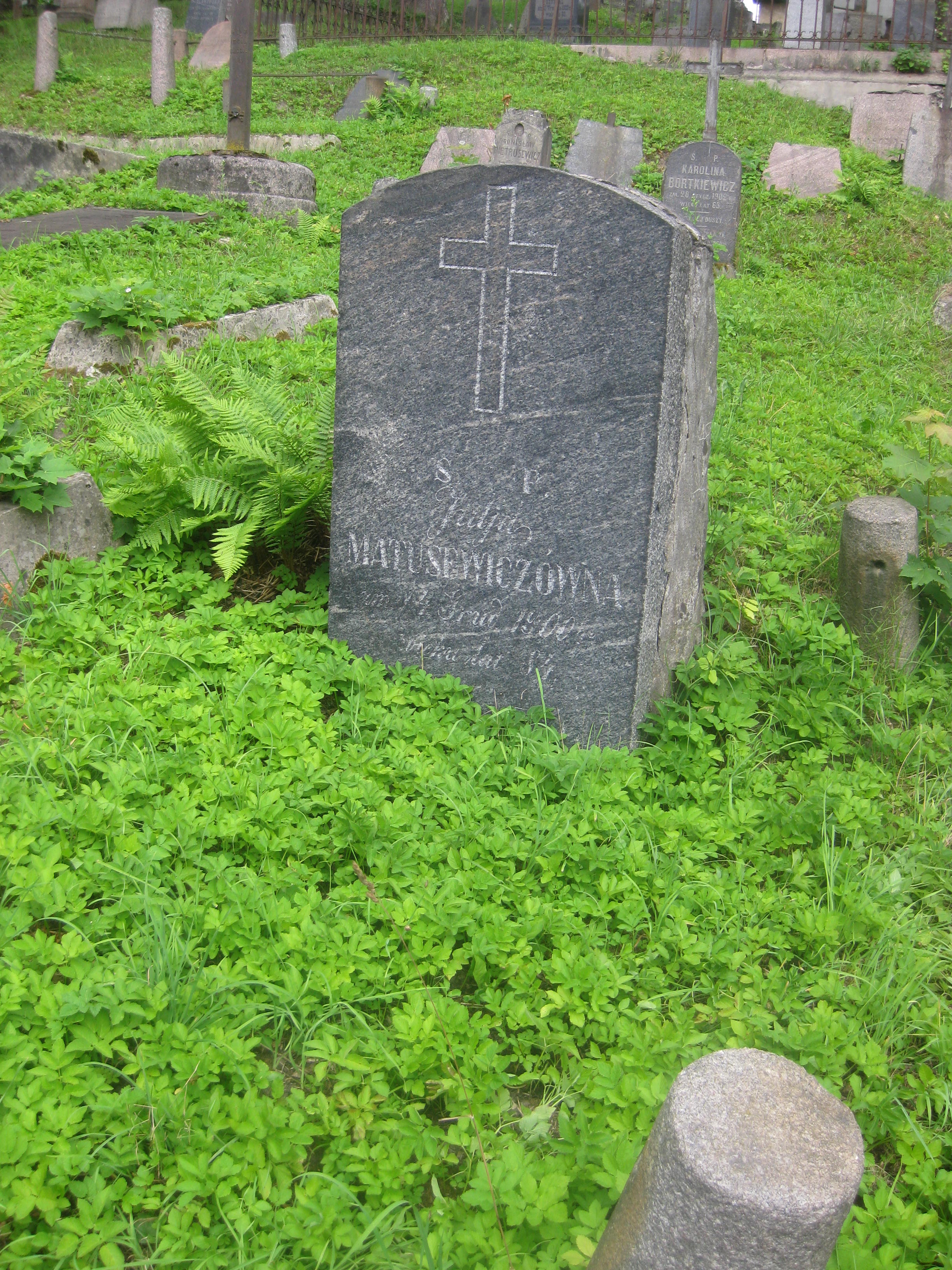 Tombstone of Julia Matusewicz, Ross cemetery, state of 2013