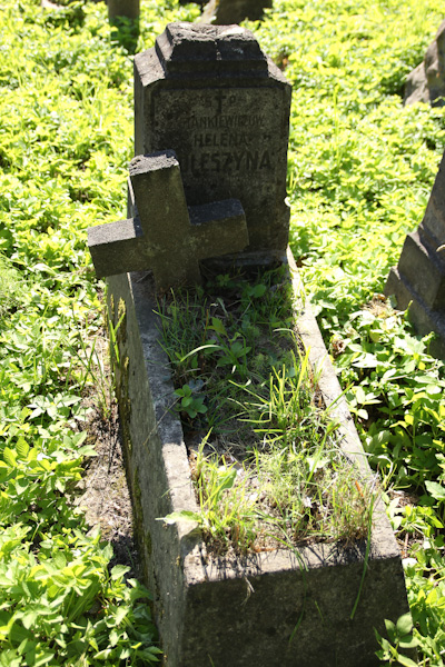 Nagrobek Heleny Kuleszy, cmentarz na Rossie w Wilnie, stan z 2013