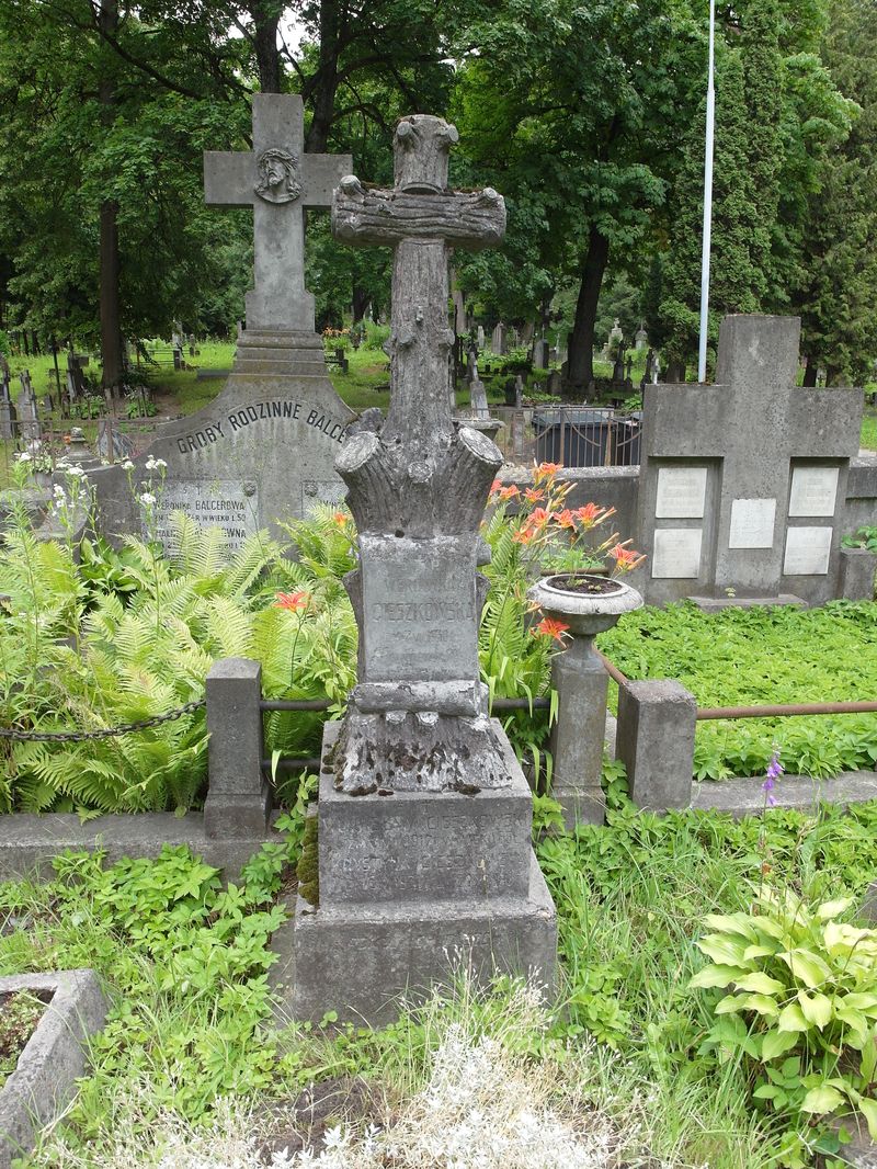 Nagrobek rodziny Cieszkowskich, cmentarz Na Rossie w Wilnie, stan z 2015 roku