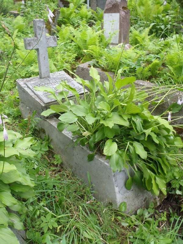 Tombstone of Stanislaw Dvilevich, Ross Cemetery, Vilnius, 2013