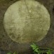 Fotografia przedstawiająca Nagrobek Anny Zabotko