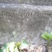 Photo showing Tombstone of Maria and Helena Zieleniecka