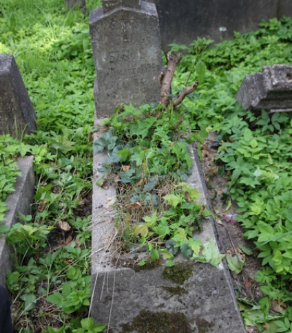 Nagrobek Jana Szemisa, cmentarz na Rossie w Wilnie, stan z 2013