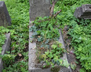 Nagrobek Jana Szemisa, cmentarz na Rossie w Wilnie, stan z 2013