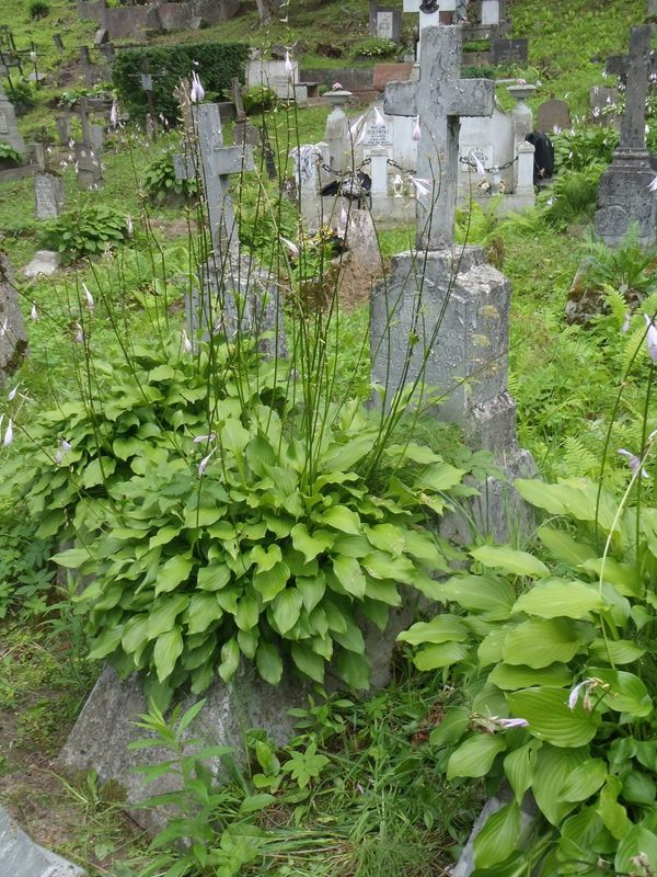 Nagrobek Jadwigi Dwilewiczowej, cmentarz na Rossie w Wilnie, stan z 2013