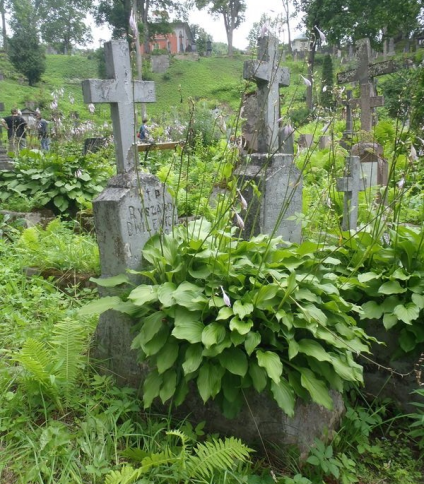 Nagrobek Ryszarda Dwilewicza, cmentarz na Rossie w Wilnie, stan z 2013