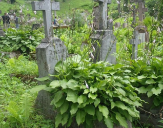 Nagrobek Ryszarda Dwilewicza, cmentarz na Rossie w Wilnie, stan z 2013