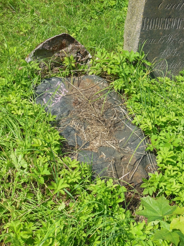 Tombstone of Alexandra Pajewka, Ross cemetery, as of 2013