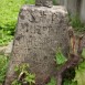 Photo montrant Tombstone of Józefa Dyrgiewicz