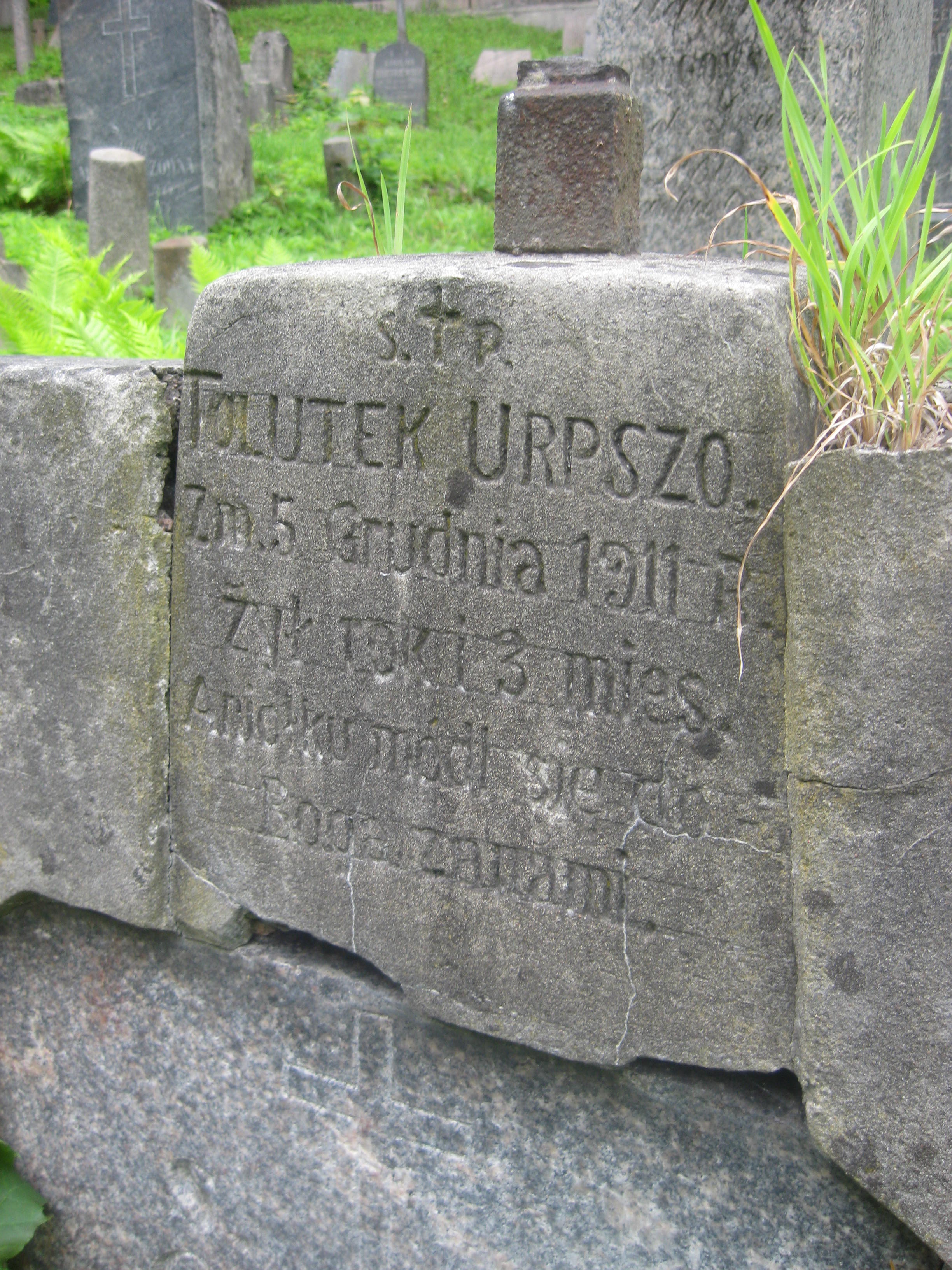 Nagrobek Anatola Urpszo, cmentarz na Rossie, stan z 2013 roku