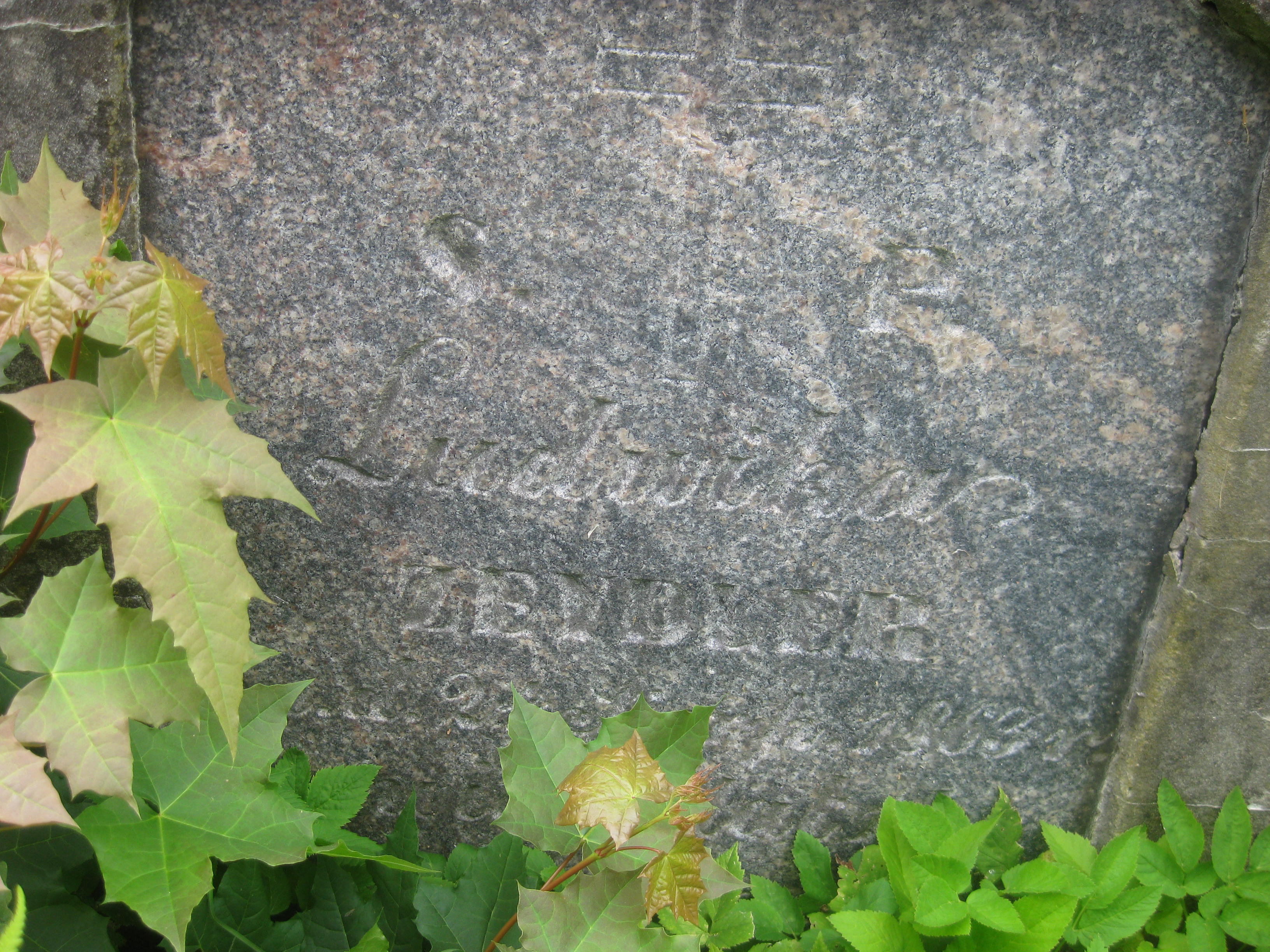 Tombstone of Ludwika Zeidler, Ross cemetery, as of 2013