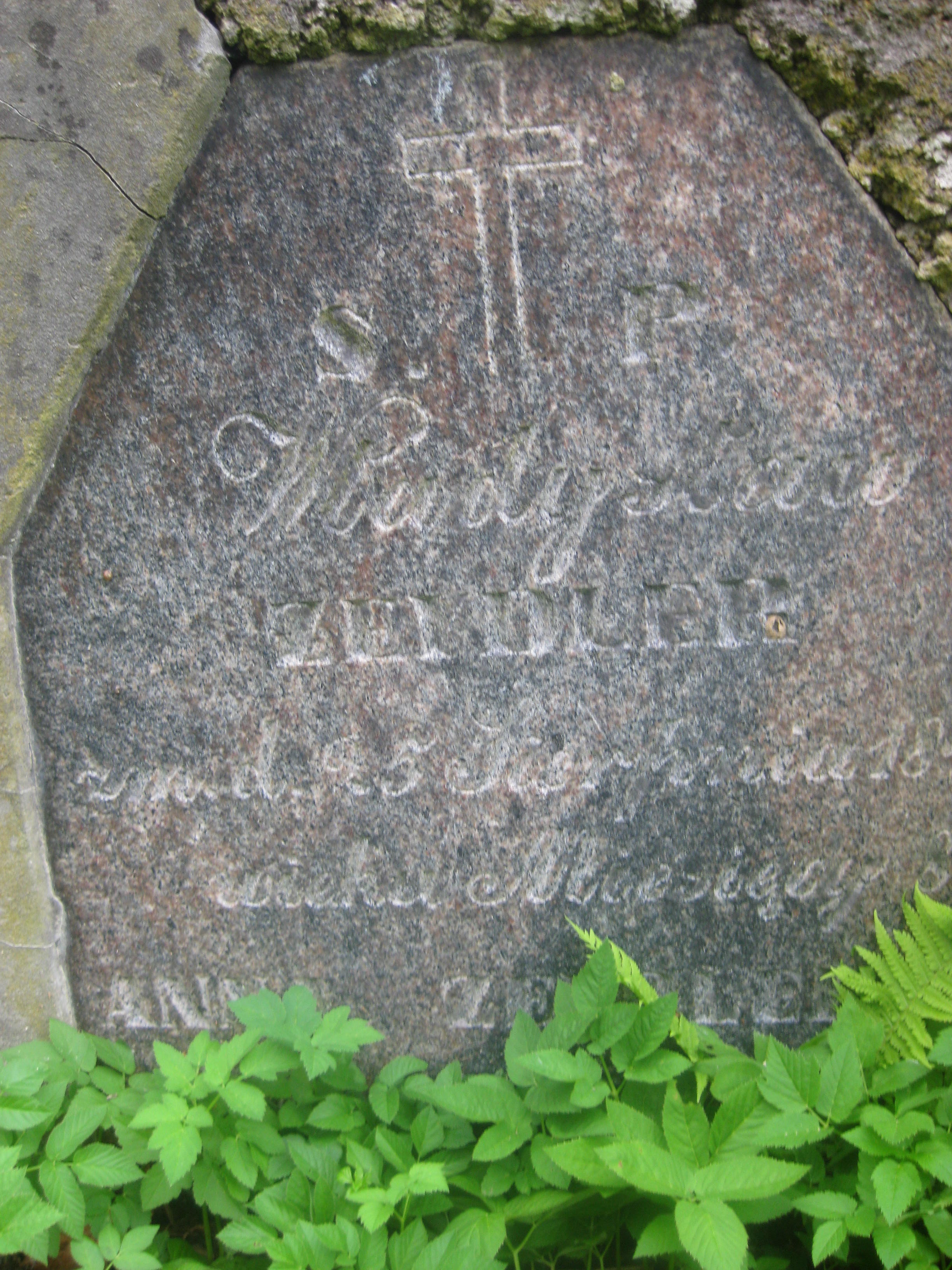 Fragment of the tombstone of Anna and Władysława Zeidler, Ross cemetery, state of 2013