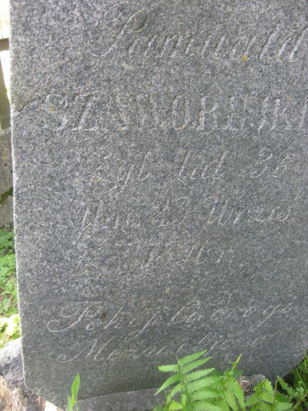 Fragment of Romuald Szaworejko's tombstone, Ross cemetery, as of 2013