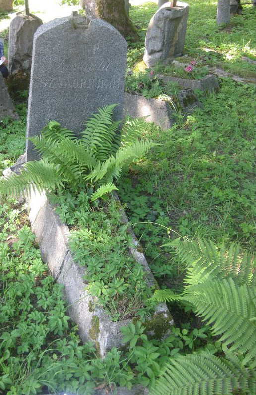 Tombstone of Romuald Szaworejko, Ross cemetery, state of 2013