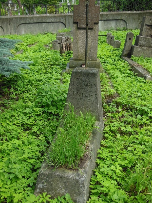Tombstone of Aniela Borkowska, Rossa cemetery in Vilnius, state 2014
