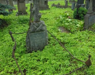 Nagrobek Jana Maliszewskiego, cmentarz na Rossie w Wilnie, stan z 2014