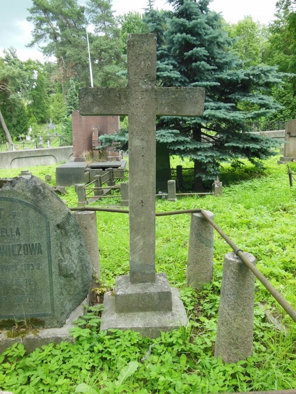 Nagrobek Anny Breśniewicz, cmentarz na Rossie w Wilnie, stan z 2014
