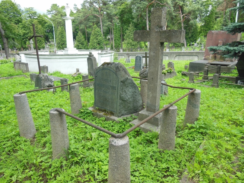 Nagrobek Anny Breśniewicz, cmentarz na Rossie w Wilnie, stan z 2014