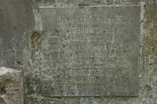 Fragment of the tomb of the Dobrovolsky family, Ross Cemetery in Vilnius, as of 2013