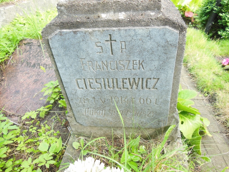 Fragment of Franiszek Ciesiulewicz's tombstone, Ross Cemetery in Vilnius, state 2014