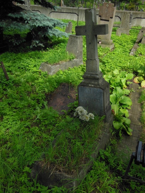 Tombstone of Franiszek Ciesiulewicz, Ross Cemetery in Vilnius, state of 2014