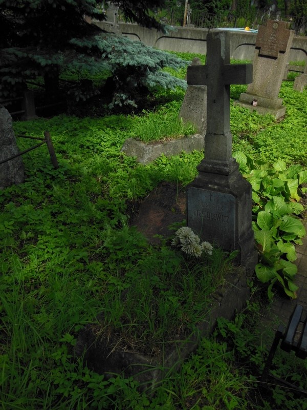 Tombstone of Franiszek Ciesiulewicz, Ross Cemetery in Vilnius, state of 2014