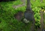 Photo showing Tombstone of Franiszek Ciesiulewicz